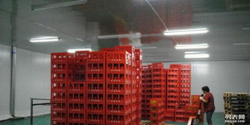 大型飲料廠設(shè)備齊全，急尋合作伙伴 出租轉(zhuǎn)讓，中西餐飲皆宜